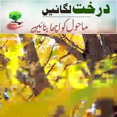درخت لگائیں اور ماحول کو اچھا بنائت ، per lagaye or mahol ko achcha banayen