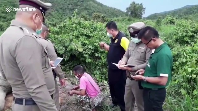 Elephant found dead after being suspected electrocution from fence around fruit farm