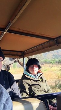 Ce touriste n'a pas l'air très rassuré pendant son safari... tête trop drôle