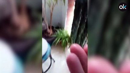 Impresionante tormenta inunda las calles de Orihuela dejando hasta 30 litros por metro cuadrado