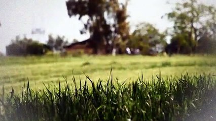 A vendre - Appartement - VESCOVATO (20215) - 4 pièces - 81m²