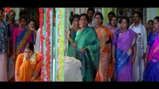 Telugu Full Movie __ Nagarjuna, Harikrishna, Sakshi Shivanand, p2