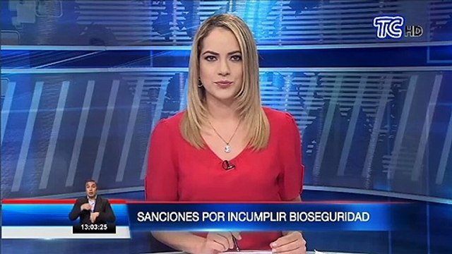 Más de 600 personas han sido sancionadas por irrespeto a normativas de bioseguridad en Quito