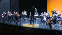 Top News - Hapen teatrot/ Zvicër, orkestra koncert falas