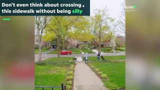 Silly walking sidewalk 16x9 YT FINAL  (  USA TODAY NEWS )