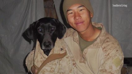 Veteran Stops at Nothing to Adopt Dog Who Saved His Life Multiple Times
