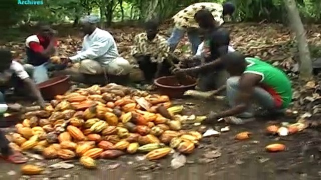 Coronavirus : Remise de vivres et de kits sanitaires à 39 coopératives de la filiere Café Cacao