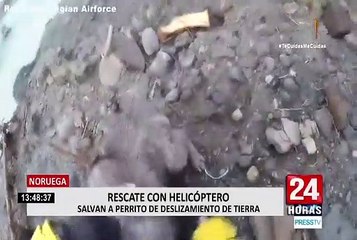 Noruega: rescatan a perro de deslizamiento de tierra