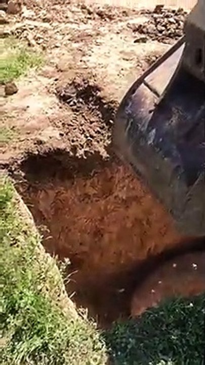Construction Workers Rescue a Pig from a Hole