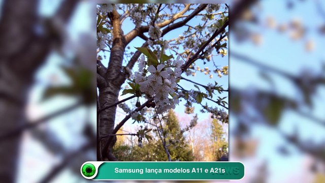 Samsung lança modelos A11 e A21s