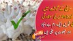 Fake news on social media irks Pakistan Poultry Association, clarifies chicken meat is safe to eat