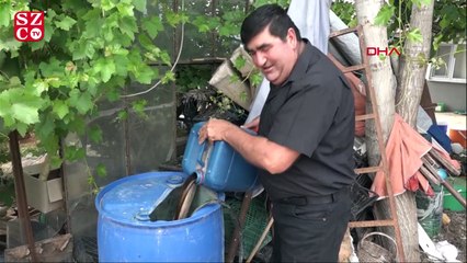 10 yıldır kekik aromalı karpuz üretiyor