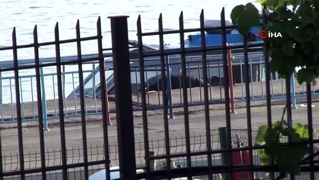 Sarayburnu sahilinde denizde ceset bulundu