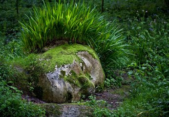 Cette sculpture prend vie en fonction des saisons... Magnifique