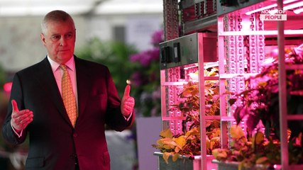 Affaire Epstein : Le prince Andrew accusé de ne pas coopérer, il sort du silence