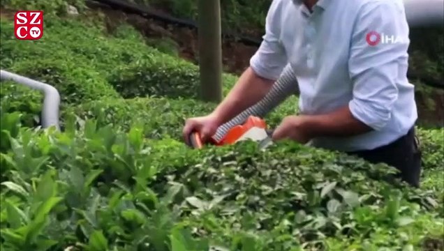 Kurduğu devrim niteliğindeki sistemle çay toplamak artık daha kolay