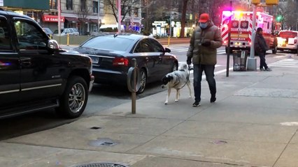 La pandemia de coronavirus supera los 406.000 muertos