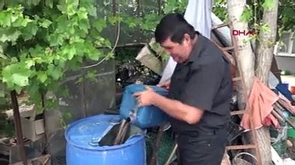 10 yıldır kekik aromalı karpuz üretiyor: Talep çok yoğun