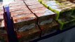 Customs seizes container load of goat, camel milk mixed with drugs worth RM100mil