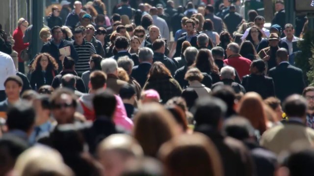 और इन्हे कश्मीर चाहिए top 10 pakistani Funny reporters !! comedy reporters