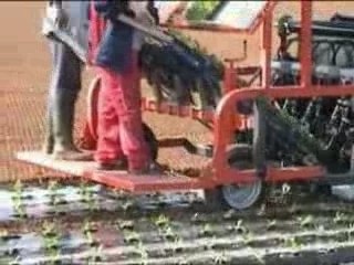 Trapiantatrice-pacciamatrice omia tel 0883 331038