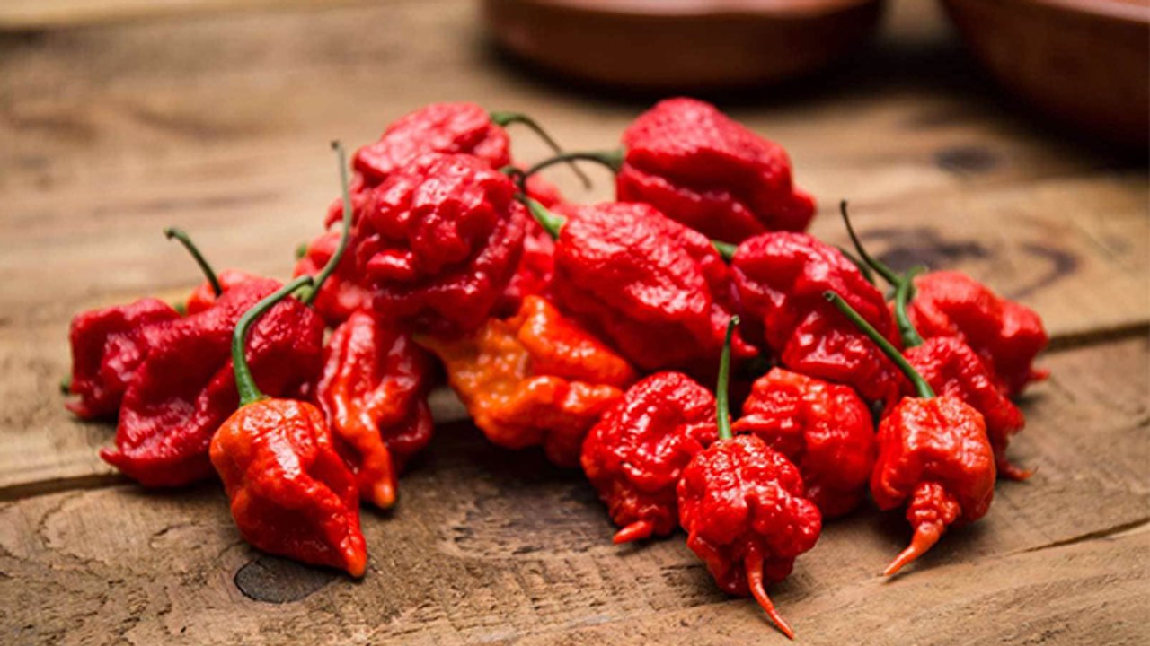 दुनिया की सबसे तीखी मिर्च के बारे में जानकर रह जाएंगे हैरान | World Hottest Chilli | Boldsky