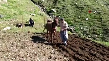 Bingöl'de Zorlu Tarla Mesaisi