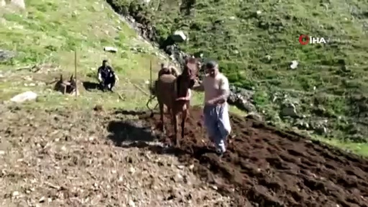 Bingöl'de Zorlu Tarla Mesaisi