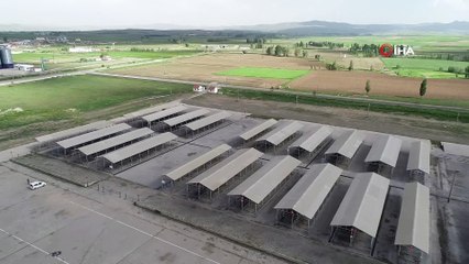 Türkiye’nin en büyük canlı hayvan pazarı normalleşme süreciyle birlikte açılıyor