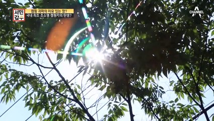 캠핑계의 이목이 집중된 사건! 초소형 캠핑카는 탄생할 수 있을까?!