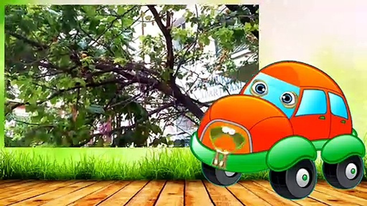 Güzeller güzeli bir kara kedi, Konuşan Arabalar Çocuk Şarkıları ve Tekerlemeleri