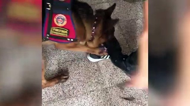 Sürücünün ayakkabı tabanına gizlenmiş uyuşturucuyu narkotik köpeği buldu - DÜZCE