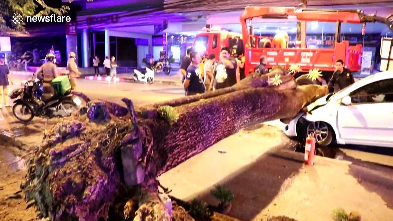 Thai couple have lucky escape after tree falls onto their car during storm