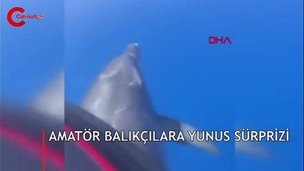 Bir anda ortaya çıktılar! Hemen cep telefonuna kaydettiler