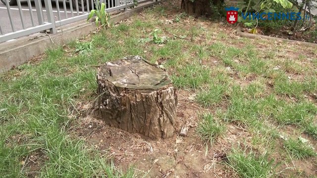 Concertation publique : amménagement de la rue Victor Basch - Vincennes
