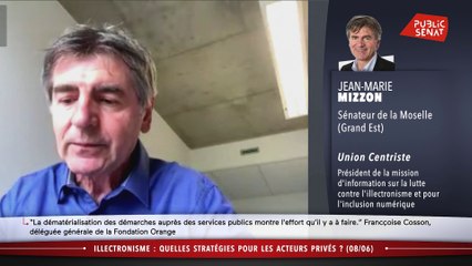 Table ronde : comment lutter contre l'illectronisme ? - Les matins du Sénat (09/06/2020)