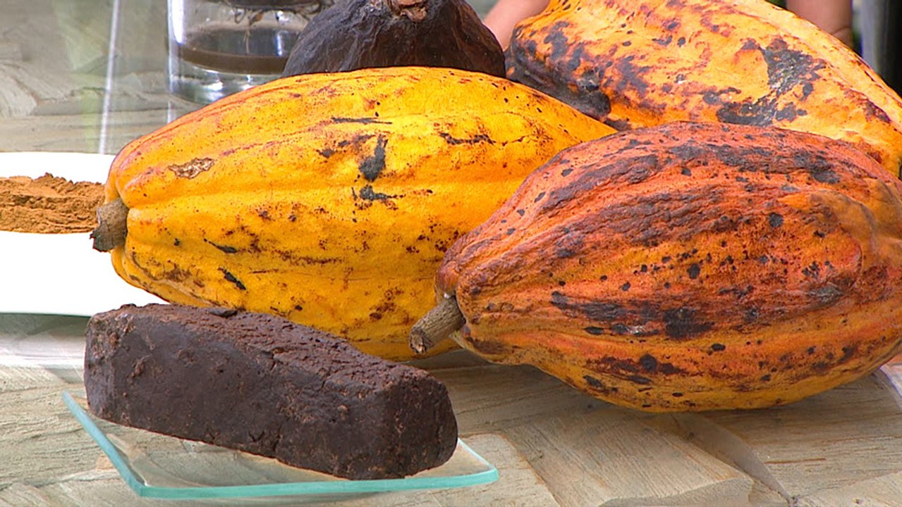 bd-combata-estres-y-ansiedad-con-productos-naturales-090620