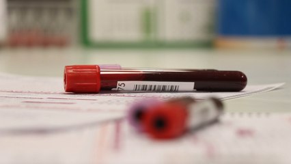 El decreto para la 'nueva normalidad', vigente hasta que haya "una terapia eficaz"