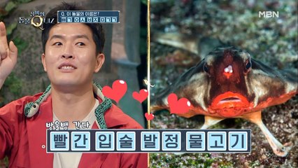 메이저리거 김병현, 메이저급 오답 발사♨ 스피드 초성 퀴즈①