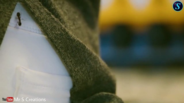 Romantic fire New whatsapp status video sparkling heart Cute Couples two hearts Love statu