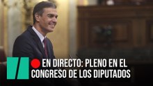 EN DIRECTO: Pleno en el Congreso de los Diputados