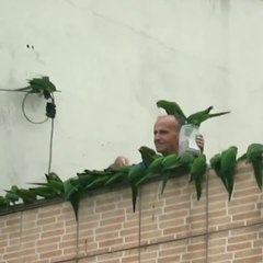 VIDA ANIMAL(ANIMAL LIFE)-12