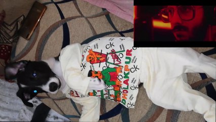 YALGAAR HOoo || TAFI Feat CARRYMINATI Feat WIL FRENZY