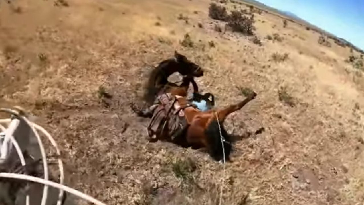 Hats Off To This Impressive Cowboy Rescue