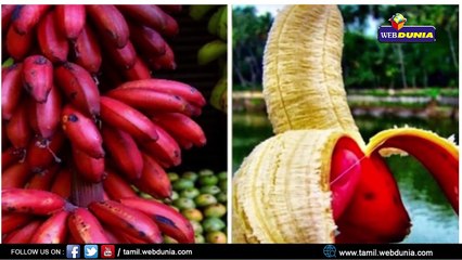 செவ்வாழை மருத்துவ பயன்கள்!