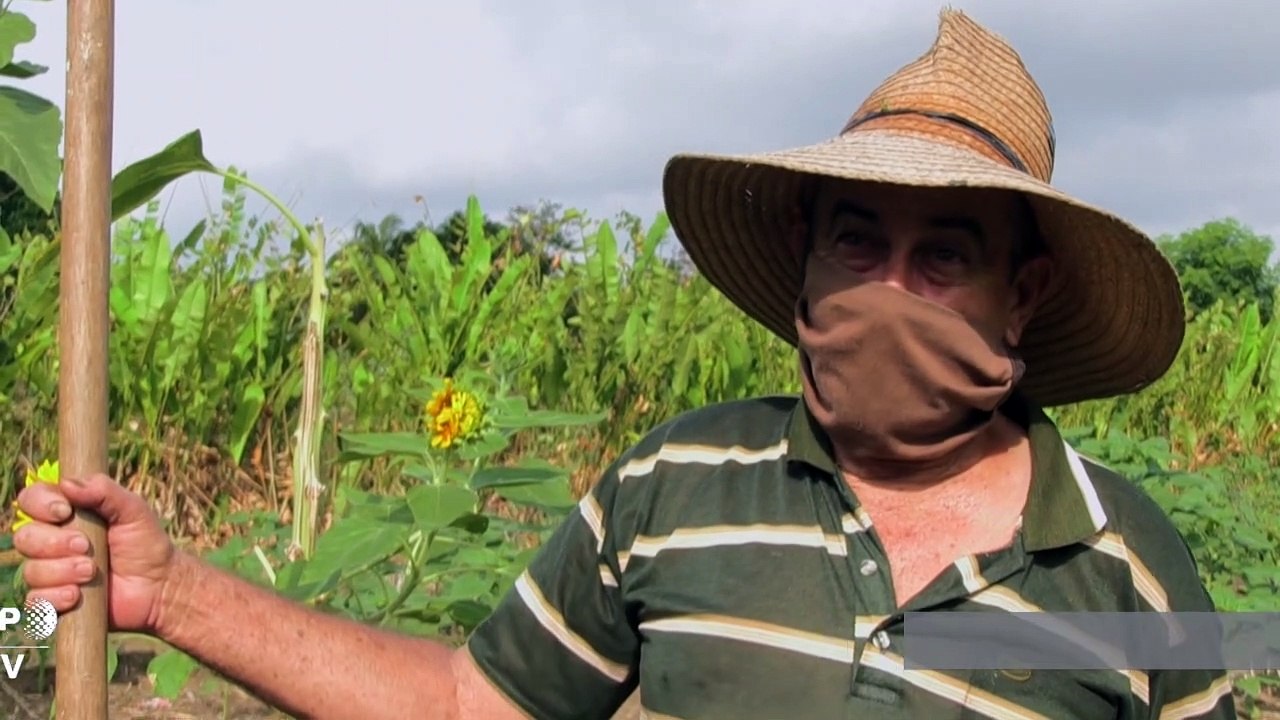 Vejez y pandemia en Cuba: "¿Miedo?, ¡ya la he pasado más feo!"