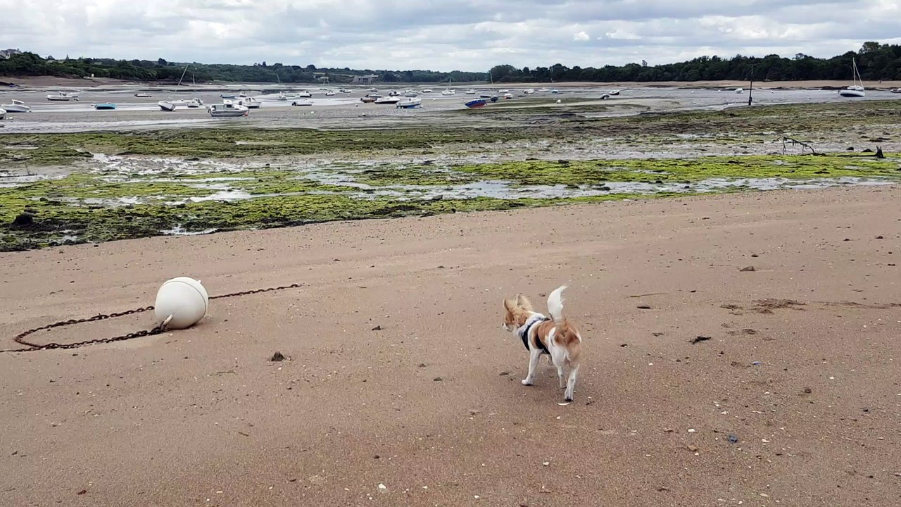 Une bouée sur la plage