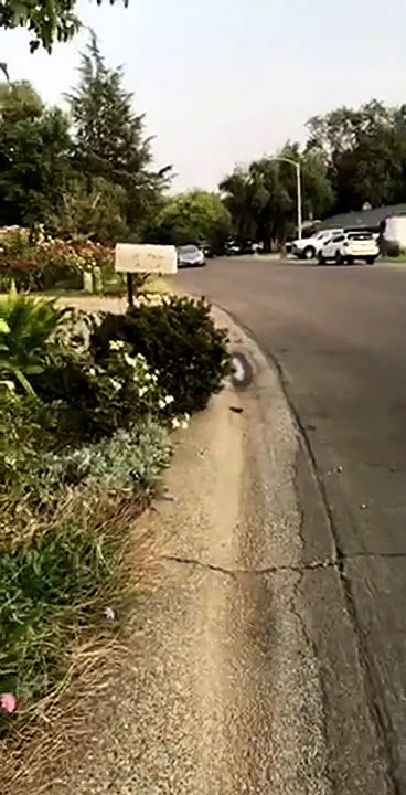 People Stop Drunk Driver