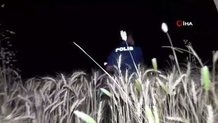 Çığlık ve silah seslerinin geldiği ekili alan didik didik aranmasına rağmen bir şey bulunamadı