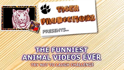 Super HARD TRY NOT TO LAUGH CHALLENGE - Funny ANIMAL compilation_HD